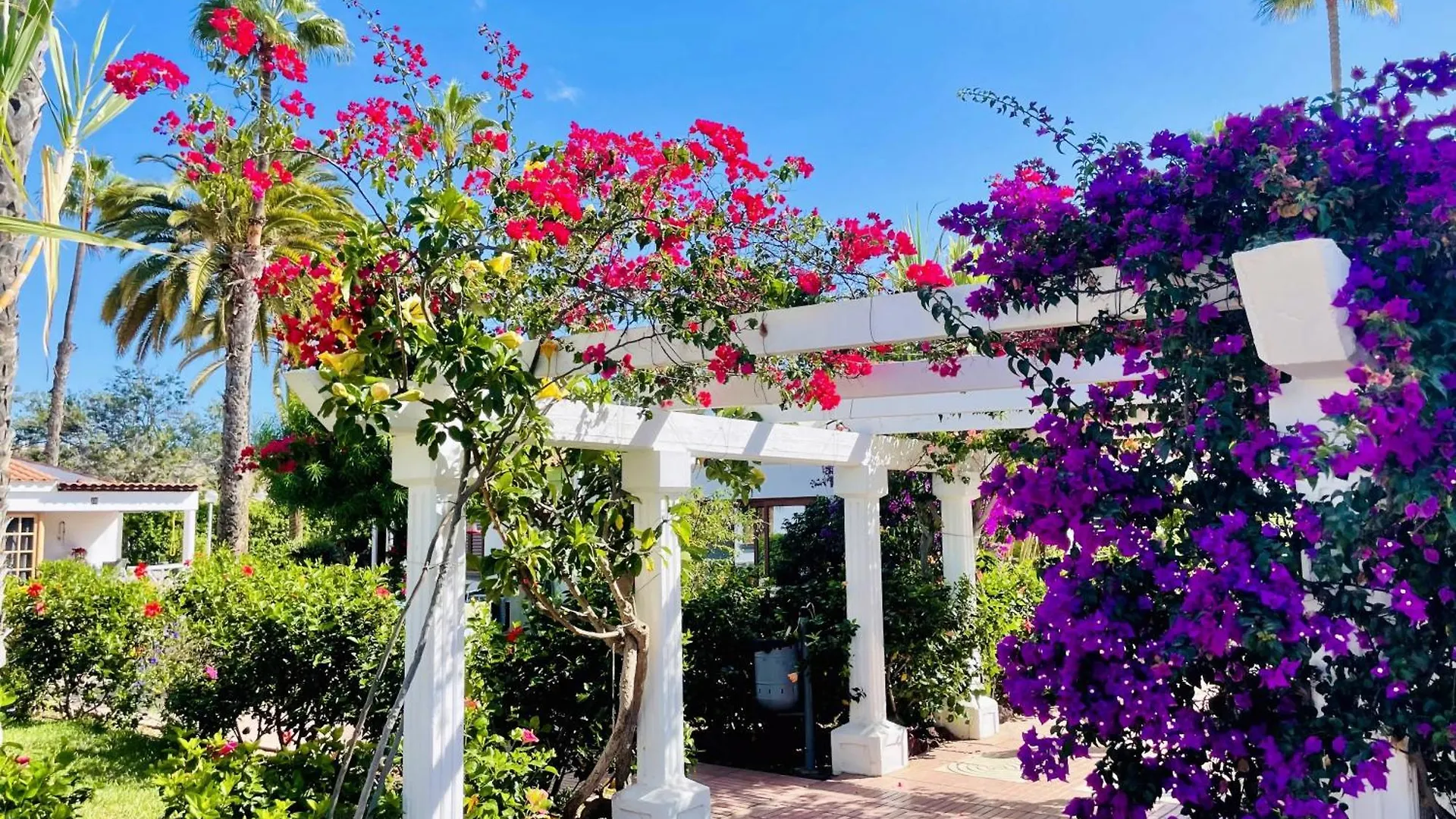 House Deluxe Maspalomas Espanha